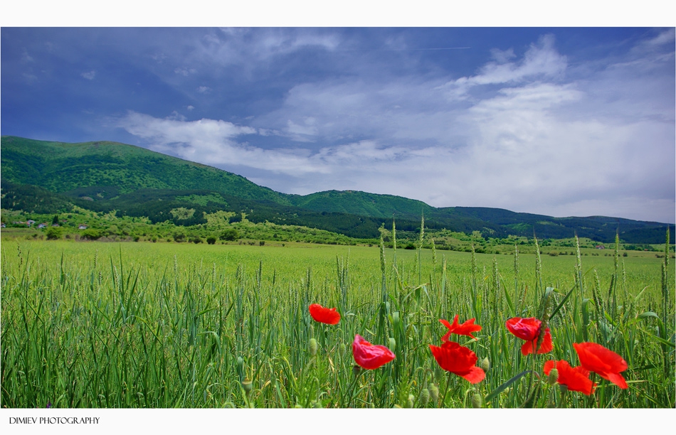 nature_2