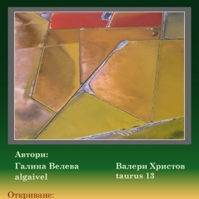 Галина Велева - algaivel и Валери Христов – taurus 13 : фотоизложба ЦВЕТОВЕТЕ НА СОЛТА, която ще бъде открита на 15.06.2009 г. от   19.30 часа в пространството пред Народния театър 