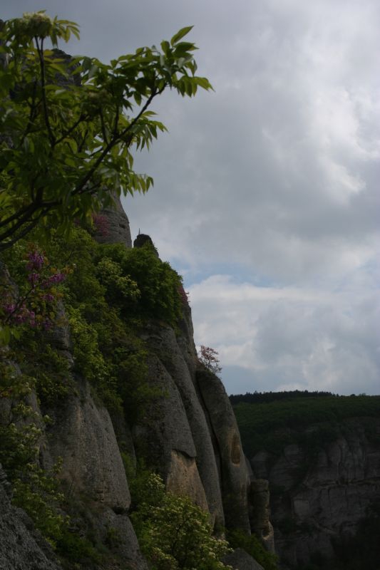 в страни...