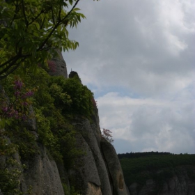 в страни...