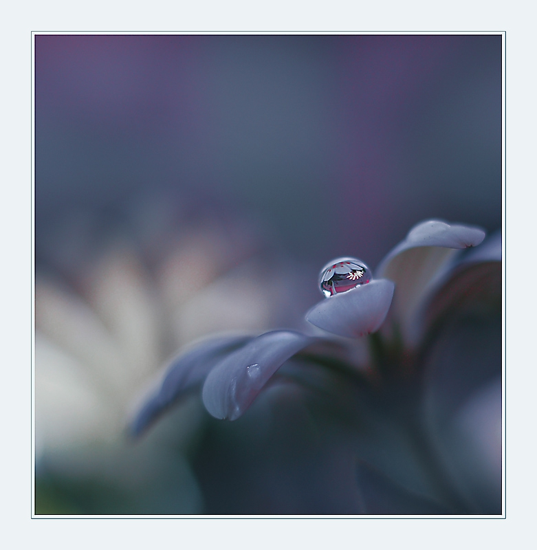 :::World of the Drops:::