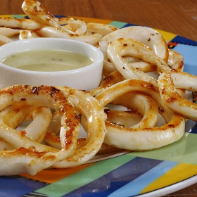 happy calamari