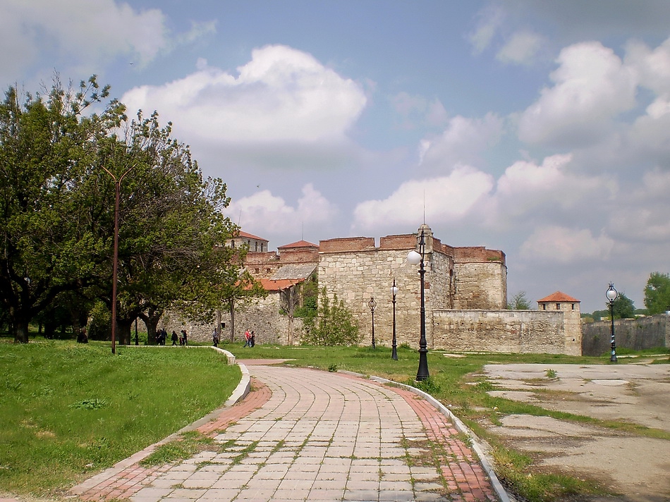 Баба Вида 22
