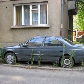 Обрасъл автомобил - в него няма никой.