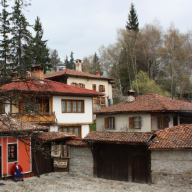Koпривщицa