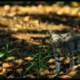 .. the smell of the Spring .. and .. something else for Sure !..