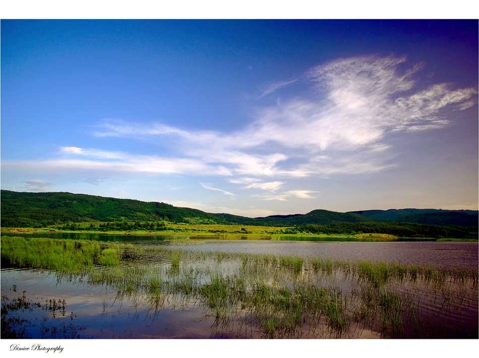 nature_6