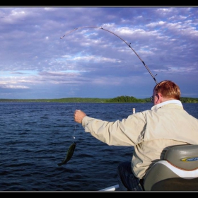 All one can wish: sunset and a fish...