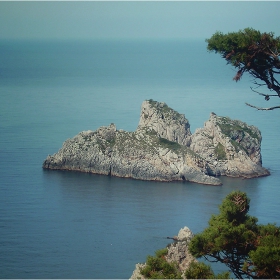 Делфинът
