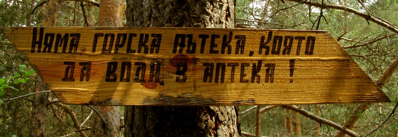 мъдростта на вековете