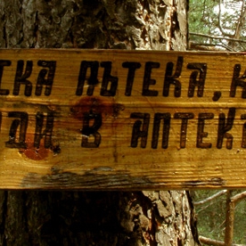 мъдростта на вековете