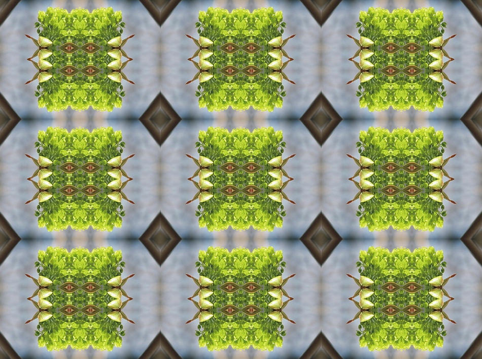 sh0322