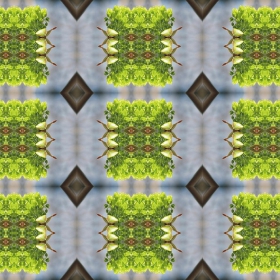 sh0322