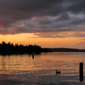 Washington Lake, Seattle