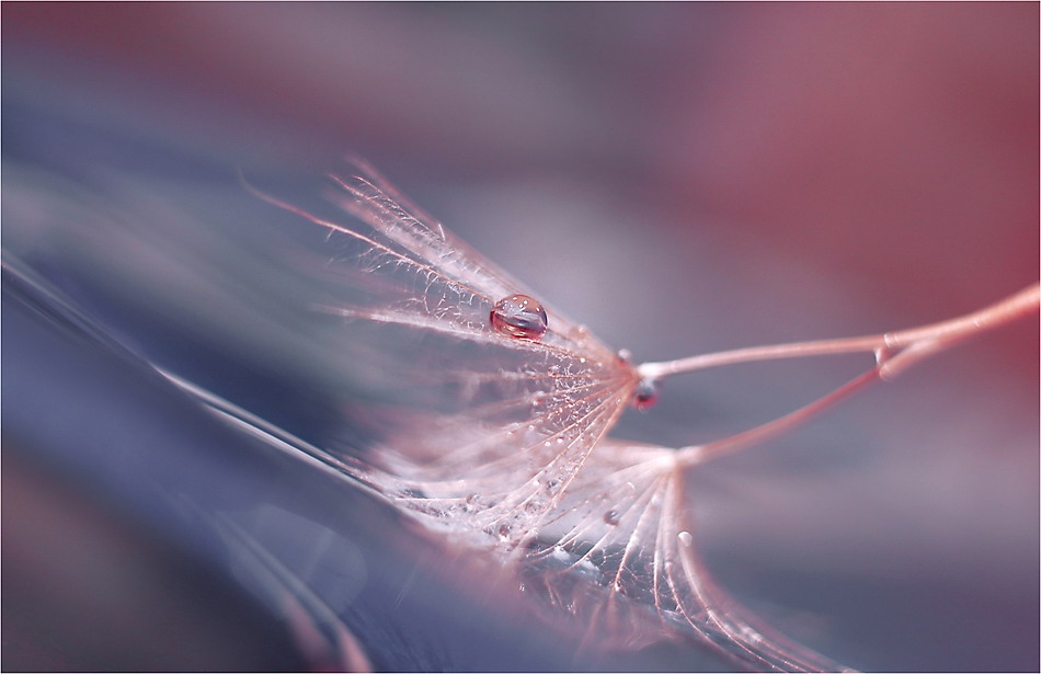 ~Invisible Soul~
