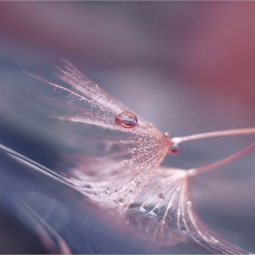 ~Invisible Soul~