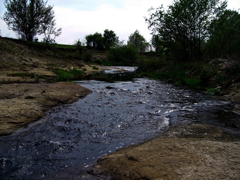 Край реката