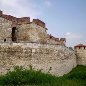 Баба Вида 3