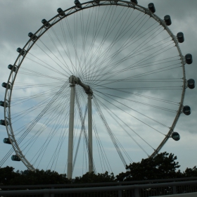 Wienas rell Singapore