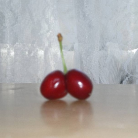 близначета, или ... шегичка на природата
