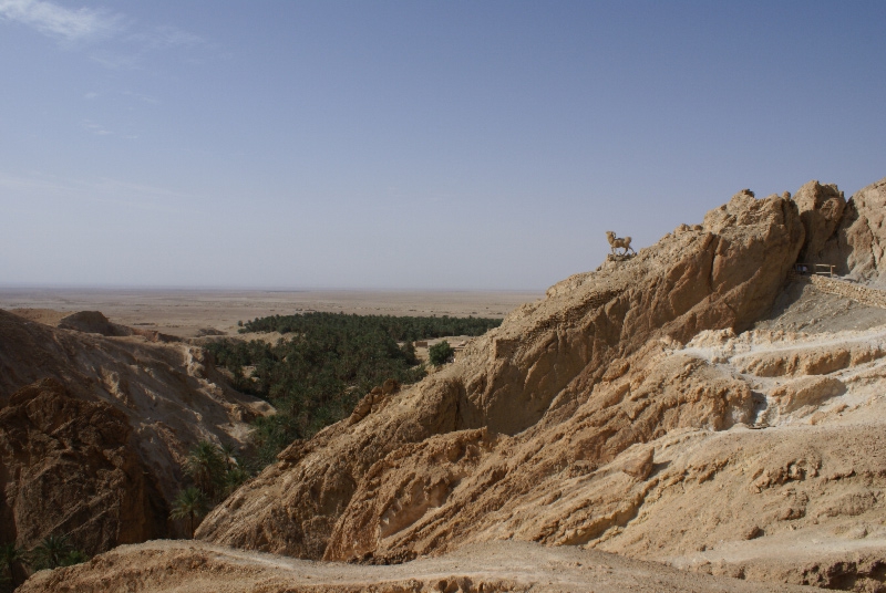 The Endless Horizon of Sahara