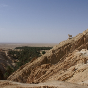 The Endless Horizon of Sahara