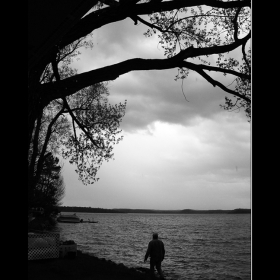 The Stormwhisperer