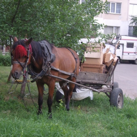 алтернативен транспарт в София