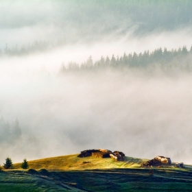 Слънчеви ласки