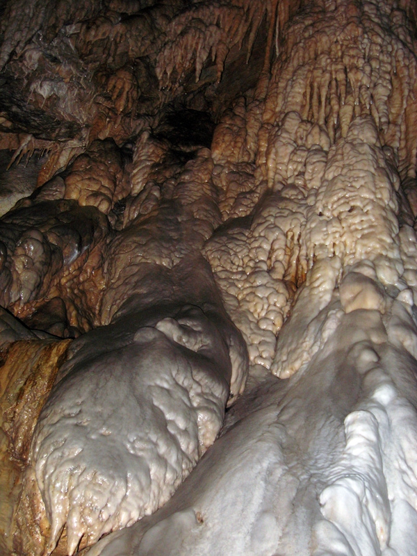 Ягодински красоти (2)