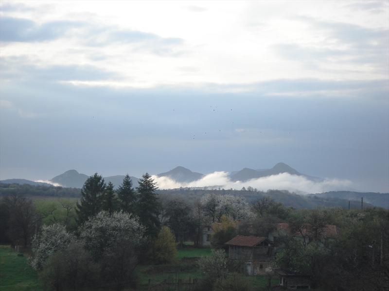 Foggy