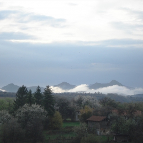 Foggy