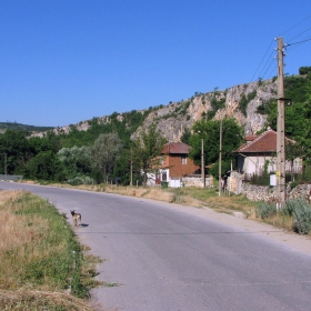 Слънчево утро в с. Нисово.