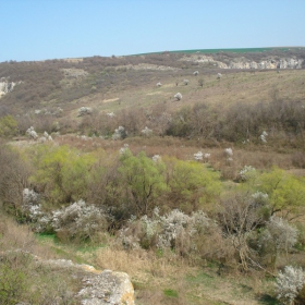 Панорама