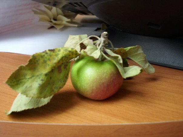 Apple