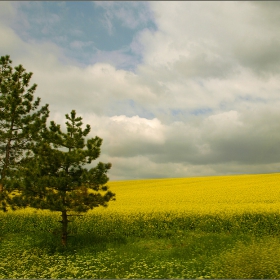 От прозореца