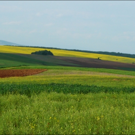 Пролет в Сакар планина