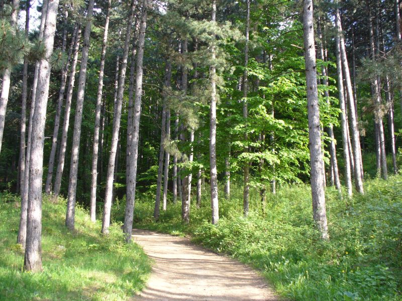 пътека