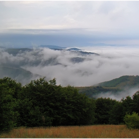 предизборна мъгла