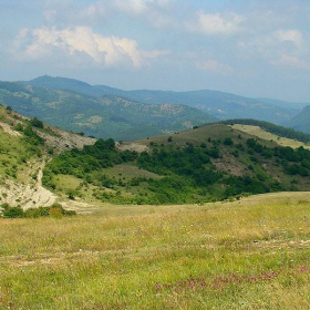 Западните покрайнини