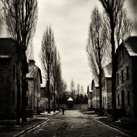 ... Alone ...