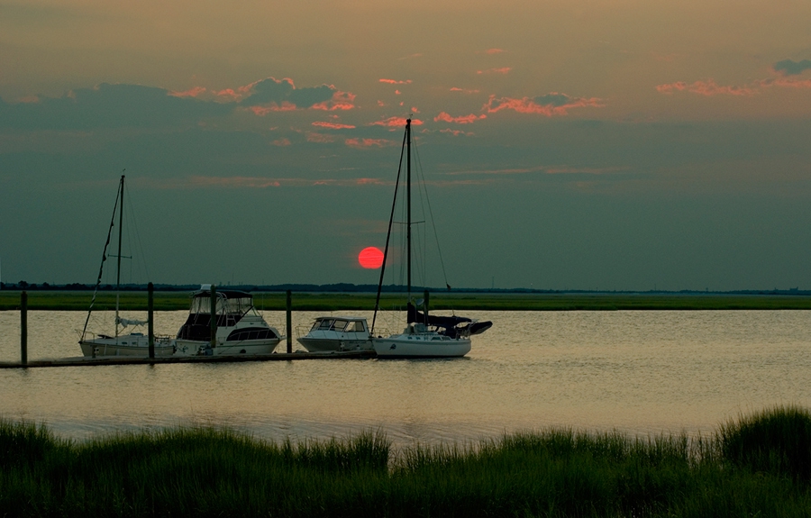 June Evening at the Marina