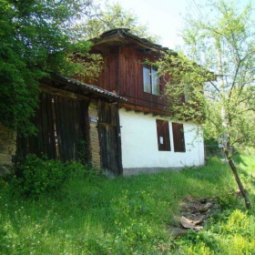 Leshnica