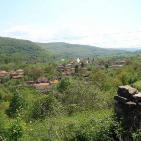 Leshnica2