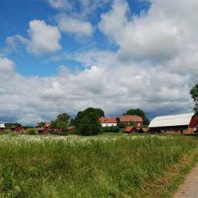 Birka - The Viking Town