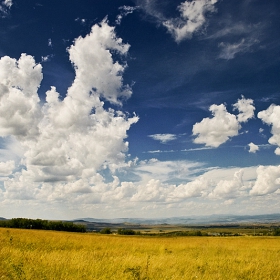 Fields of Gold.