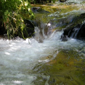 жива вода