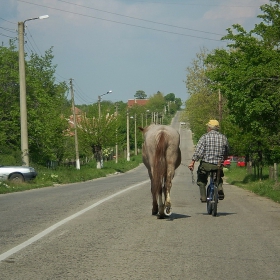 Форми на придвижване