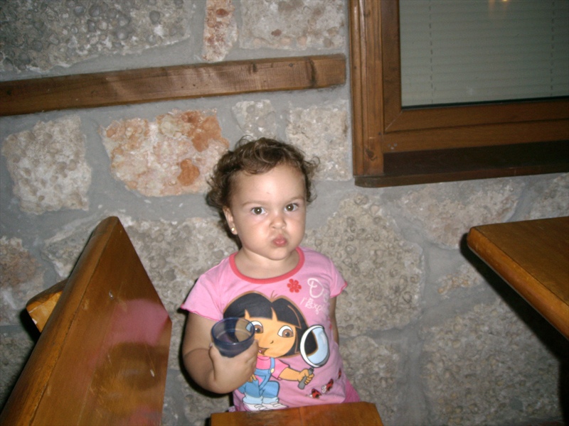 VANESA 2