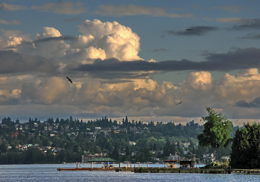 Washington Lake - Seattle